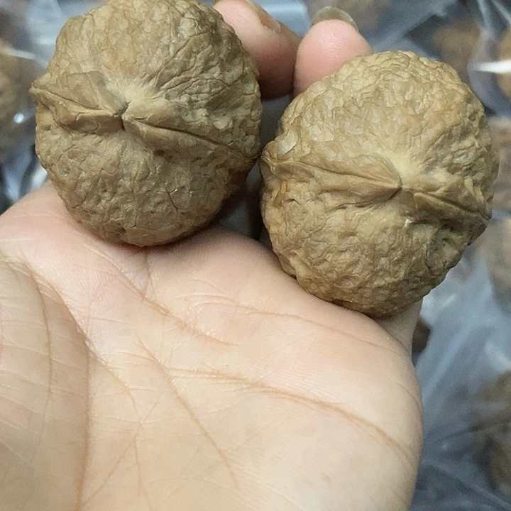 文玩核桃把件云南铁核桃基地7