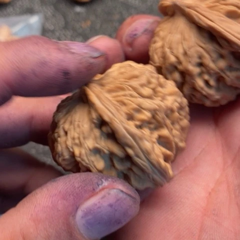 文玩核桃把件西楼15