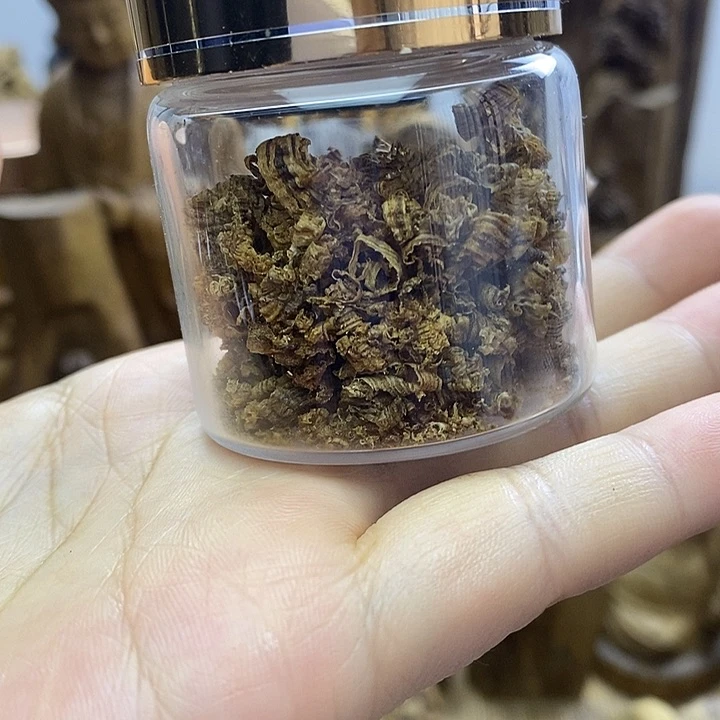 沉香沉香碎屑芽庄都彭勾丝2克