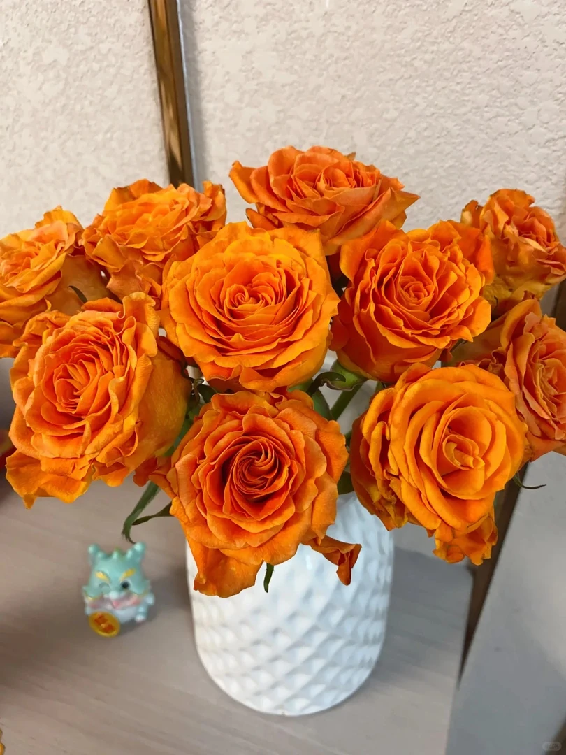 【巨蟹座】橘色系玫瑰  以爱之名，编织梦幻守护花束 云南基地直发