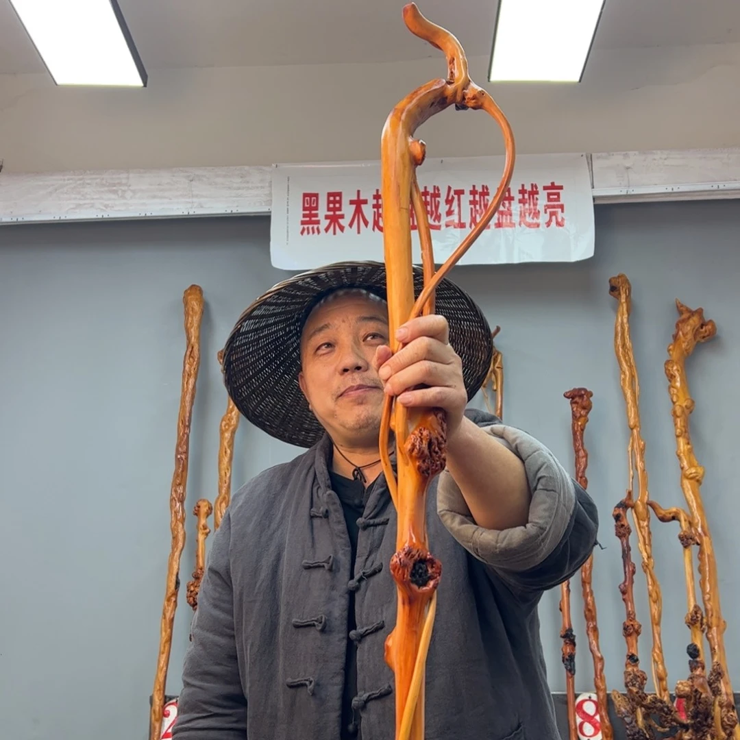 黑果木其他卓**）黑果木447