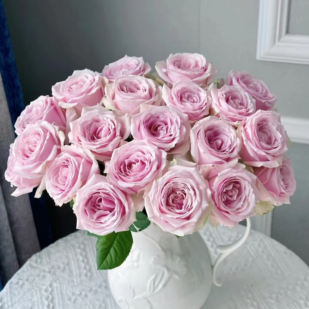 20枝粉红雪山单头玫瑰（两单顺丰冷链或京东快递）云南鲜花基地直发
