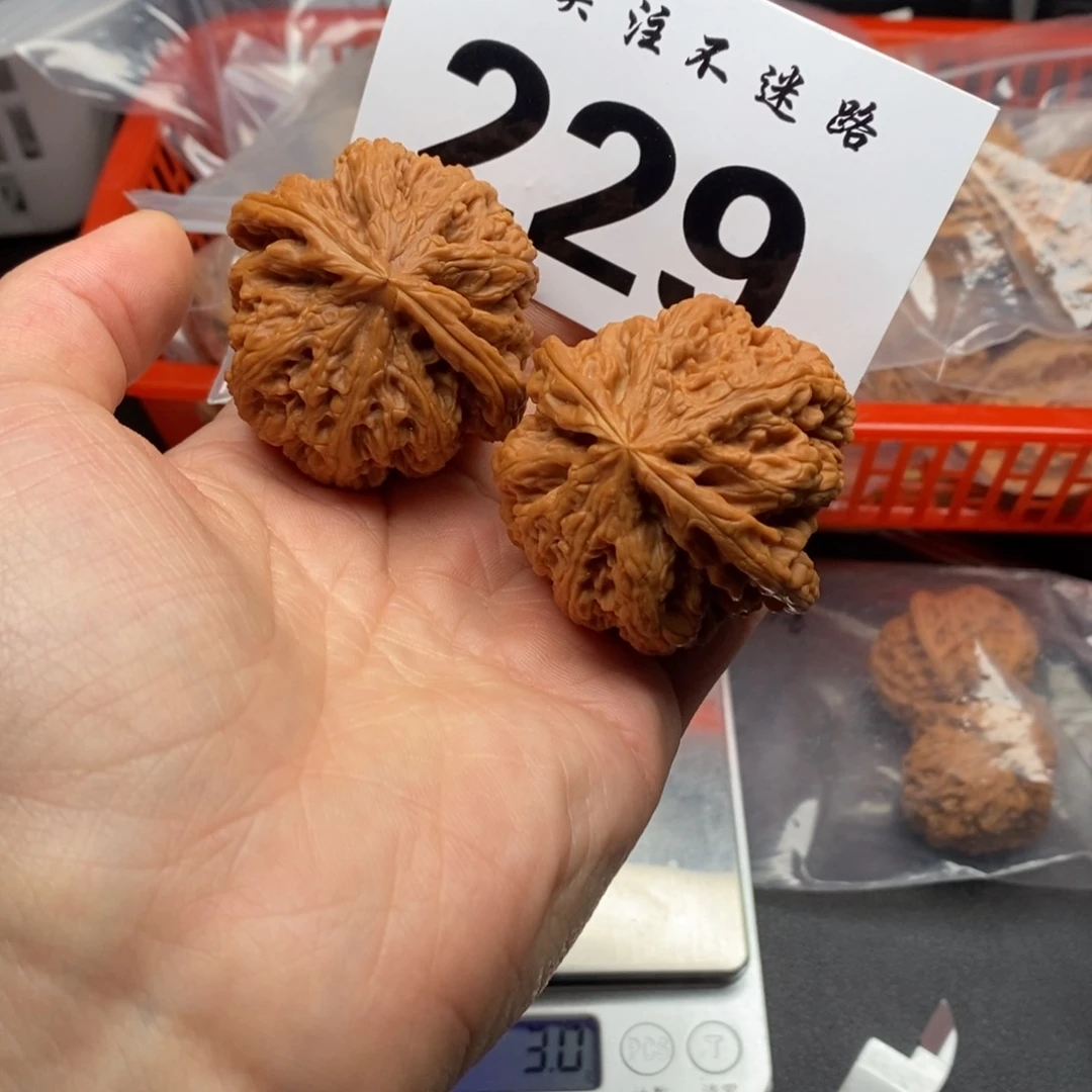 文玩核桃吊坠48粗筋