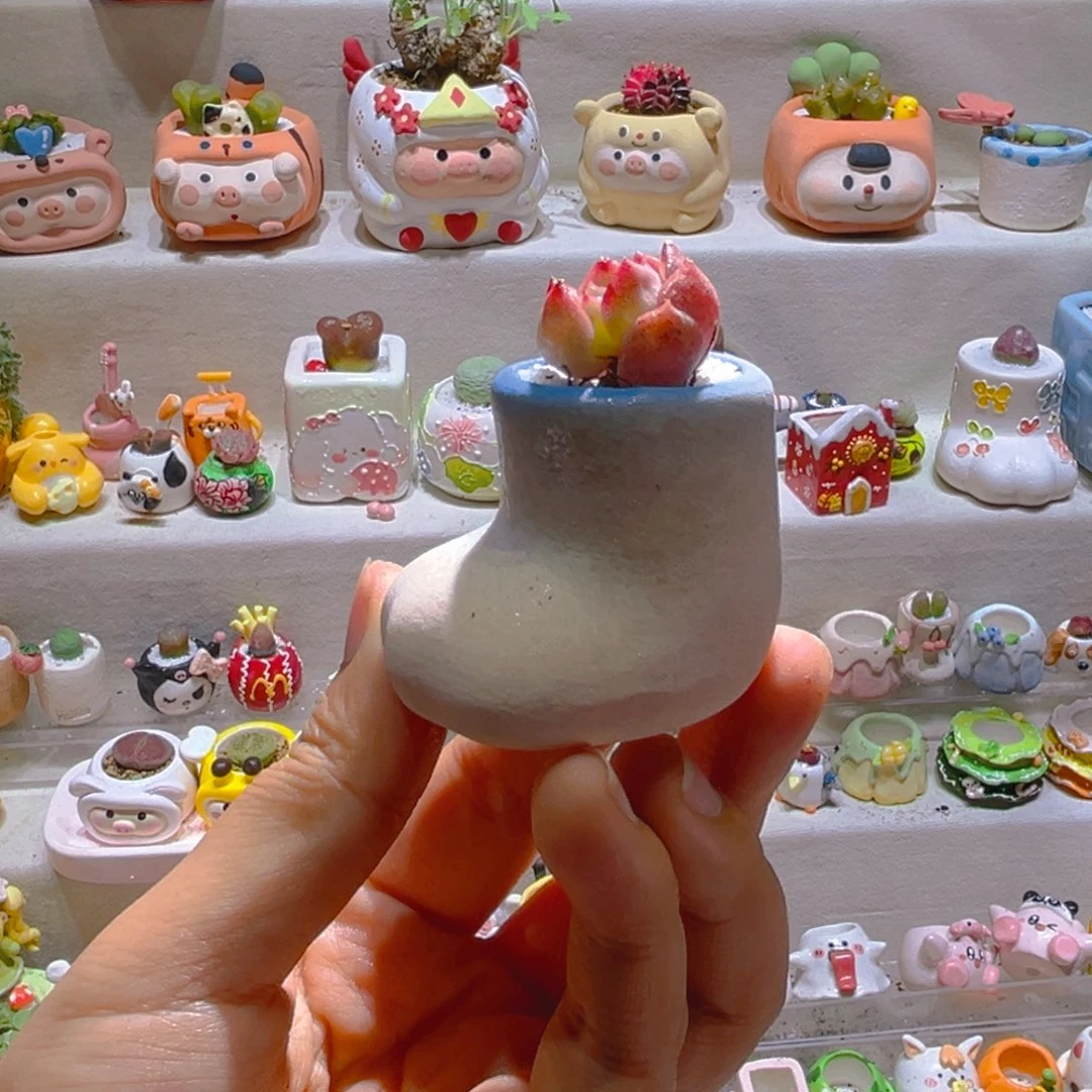 037高端多肉带盆土一套8