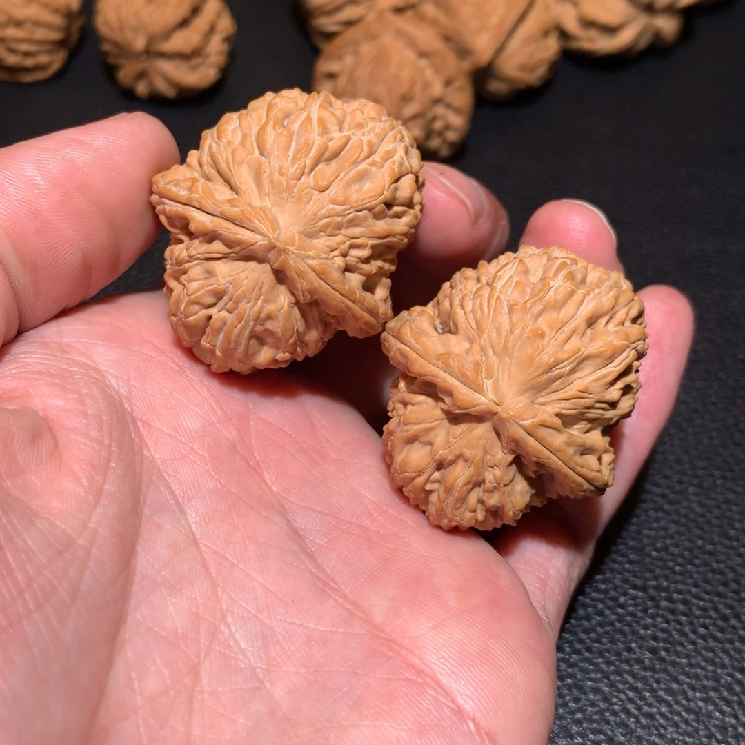 文玩核桃把件海豚头36