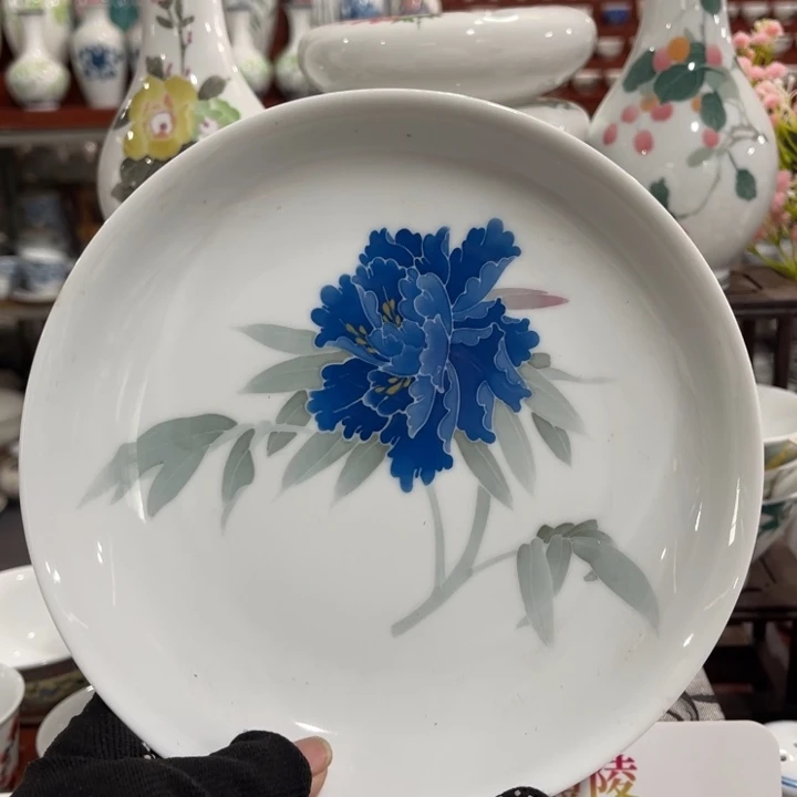 陶瓷醴陵手绘釉下五彩7寸深盘，无款