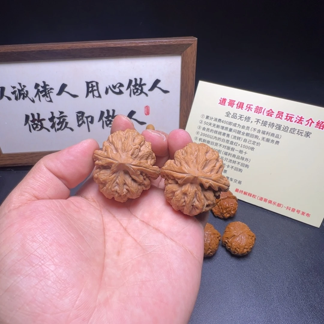 核桃全品大肚红锦鲤