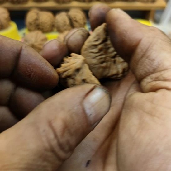 在***我核桃40南疆石半壁核桃