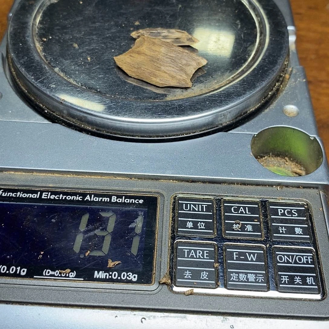 菲律宾香料2块（福利530010