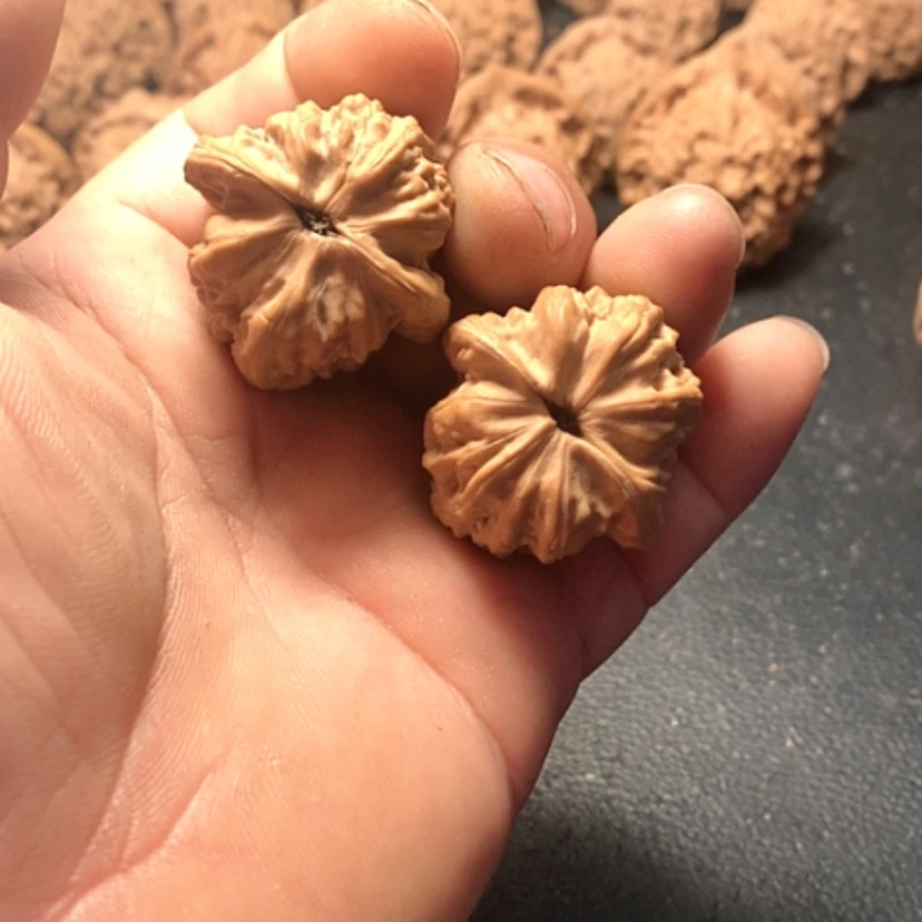 【闪购商品】苦*瓜沈鸡