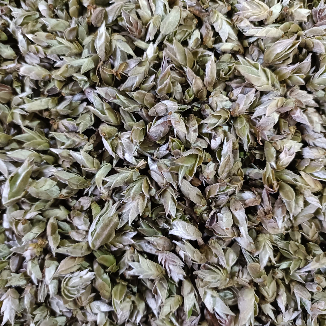 【野白芽苞】2025年春白茶2月9日【87号】