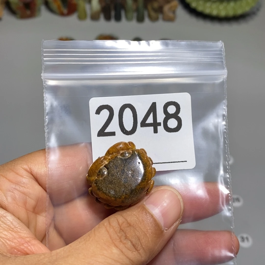 颈饰未镶嵌透闪石质玉乐*