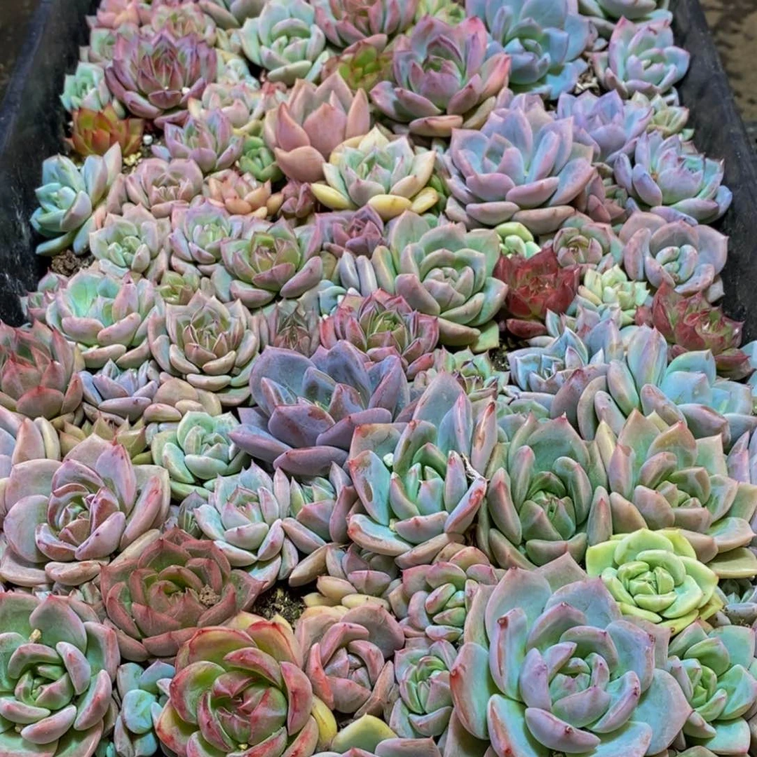 人***灵831的人在一起的时候就会觉得