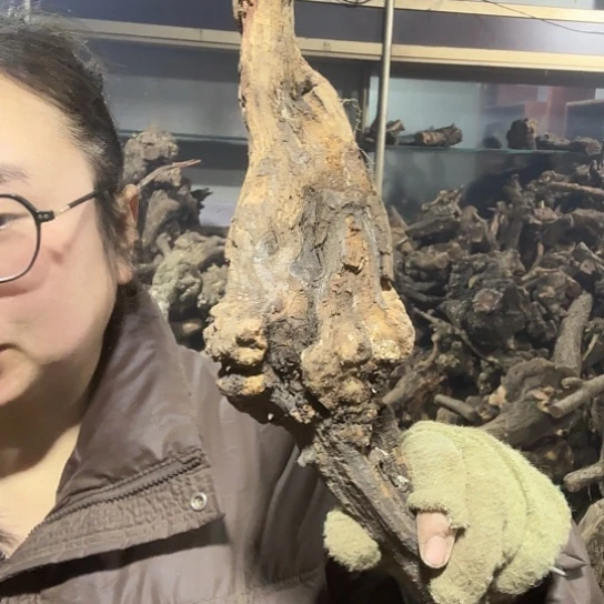 香榧木二**说火琉璃的故事毛料百家姓