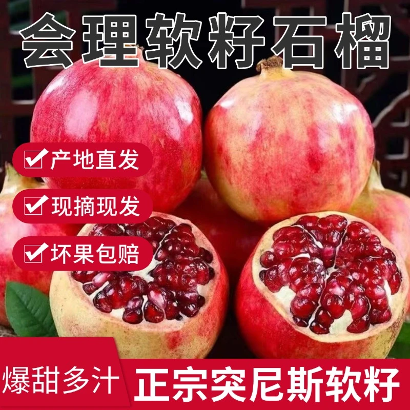 【产地直发】四川会理突尼斯软籽石榴皮薄爆汁不吐籽新鲜产地直发
