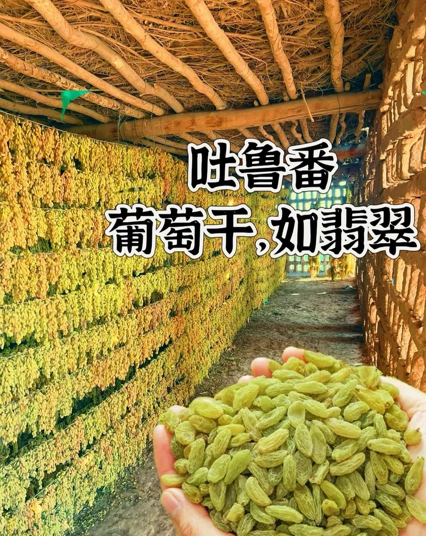新疆吐鲁番无核葡萄干软糯香甜可做甜品煲汤的特产零食