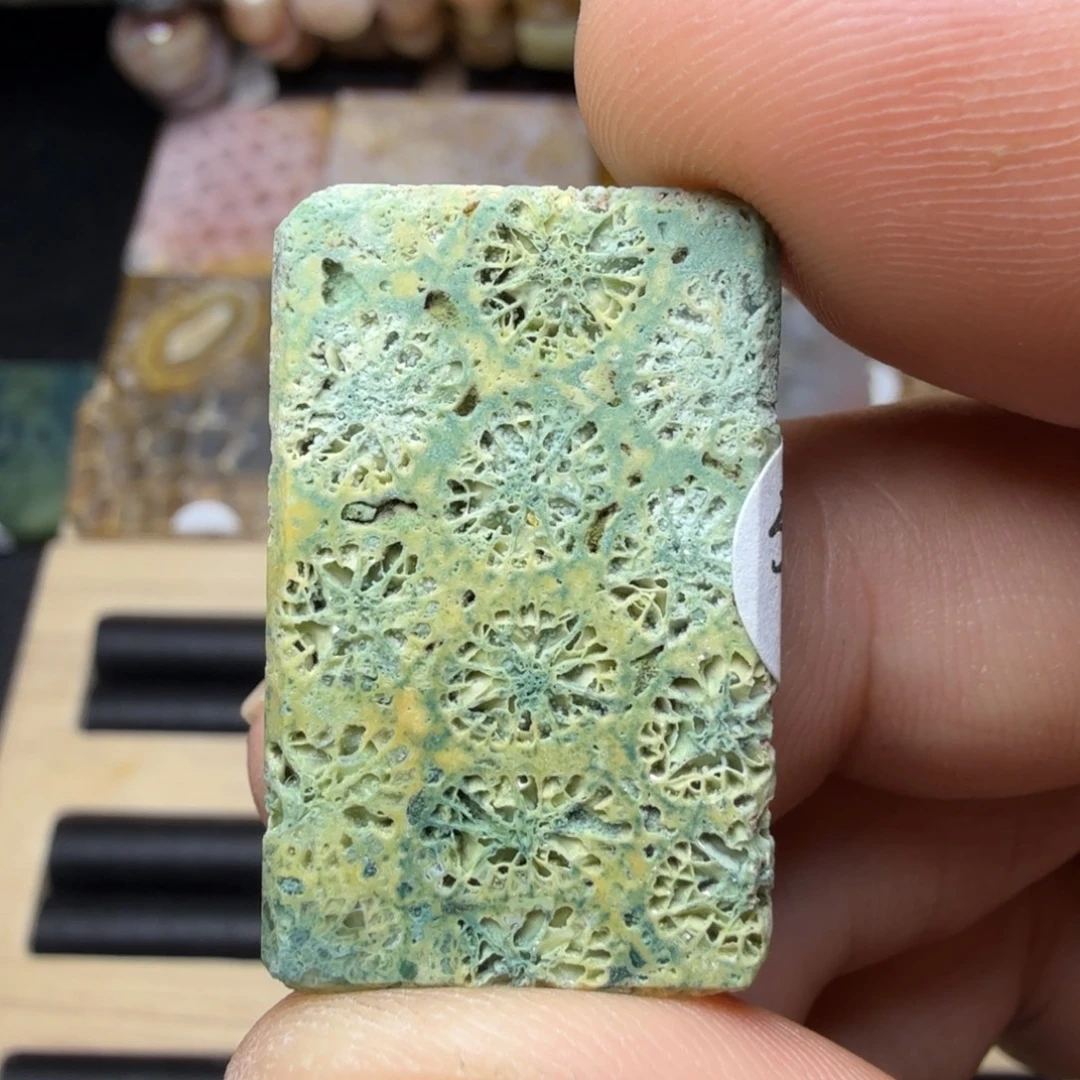 硅化玉未镶嵌纯天然色有机玉石保真色骨骼花