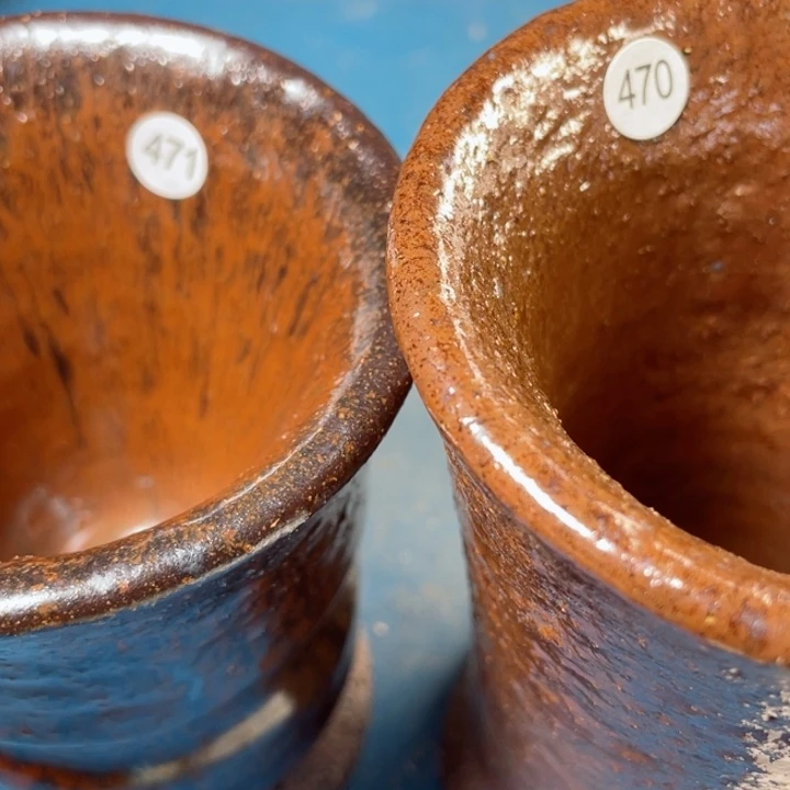 茶宠盏盏灯都是我的爱啊我