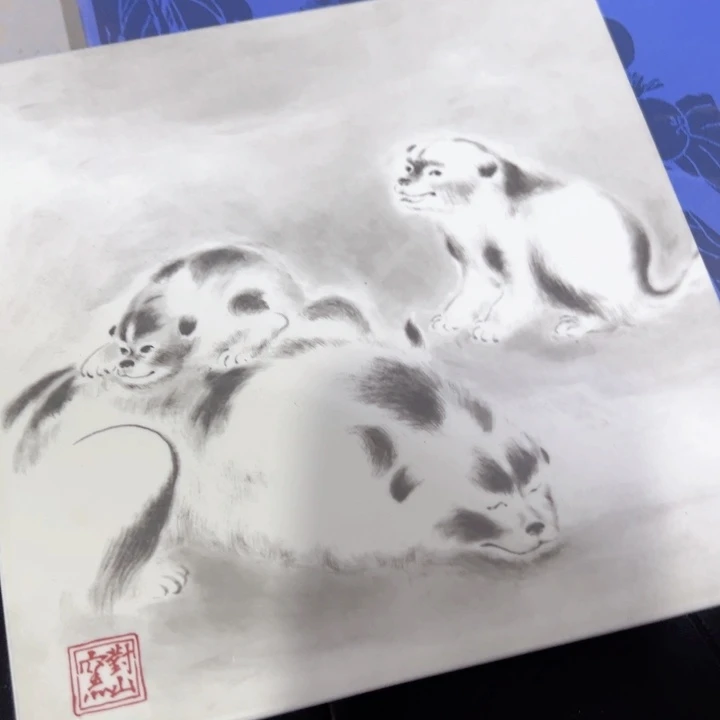 快**孩新亿阁清货特价无售后