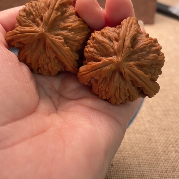 的***线核桃白狮子42核桃