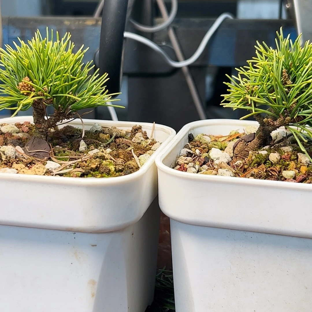 健健康康平平安安快快乐乐