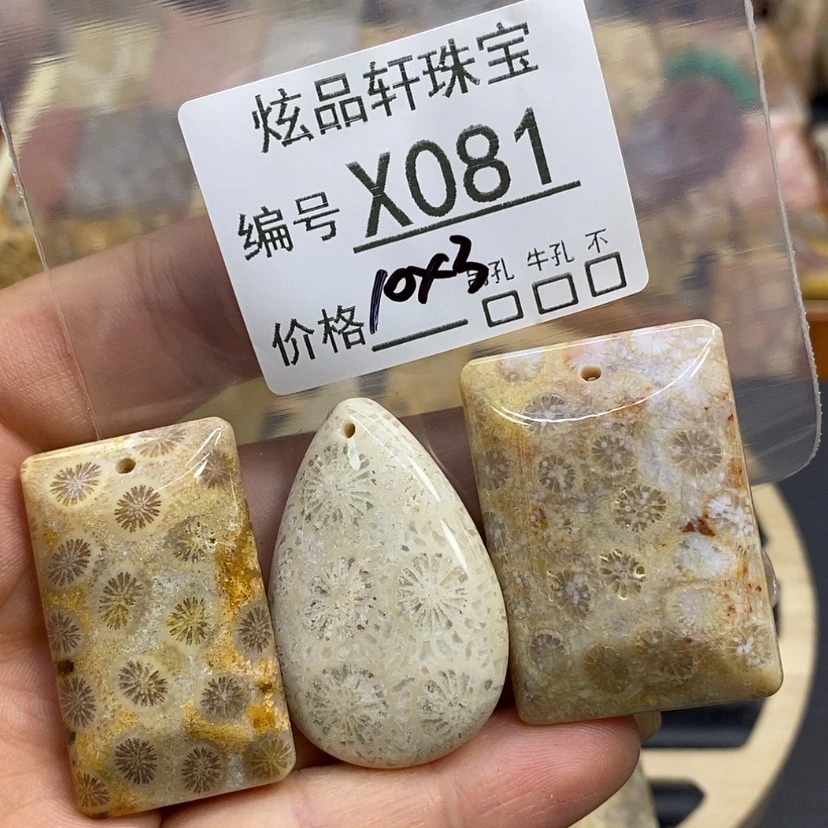 【闪购商品】硅化珊瑚（珊瑚玉）颈饰未镶嵌马****果K81