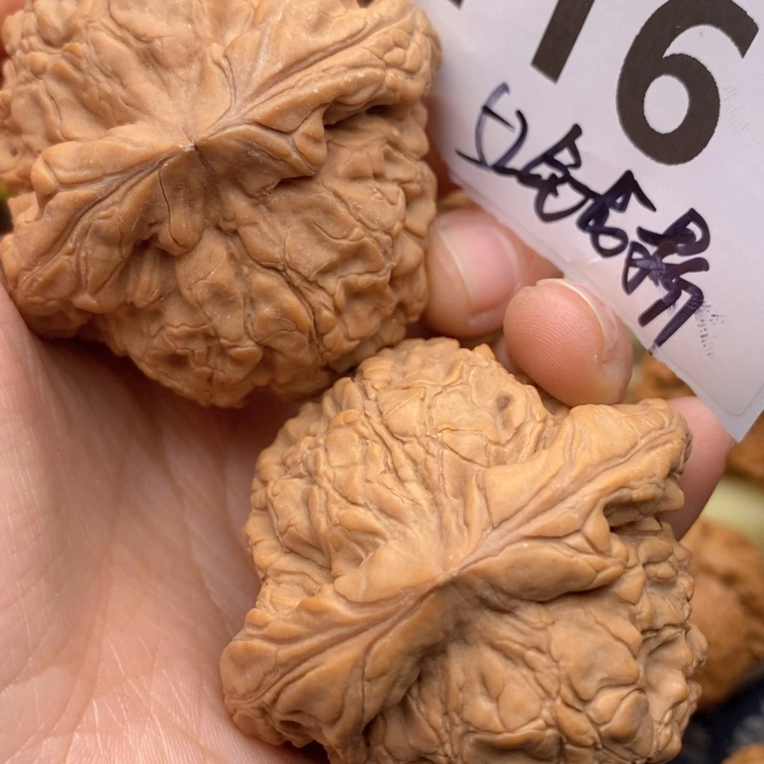 文玩核桃把件116号52全龙鼎