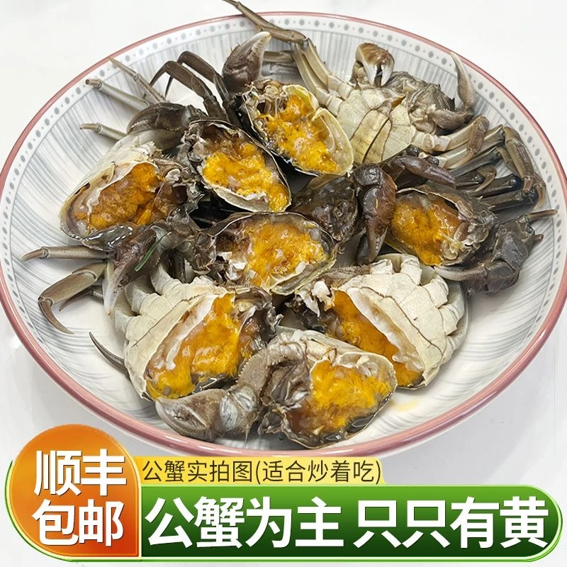 【活蟹】蟹小将江苏河蟹公蟹1.5两10只送2只共12只鲜活精品青蟹青壳蟹