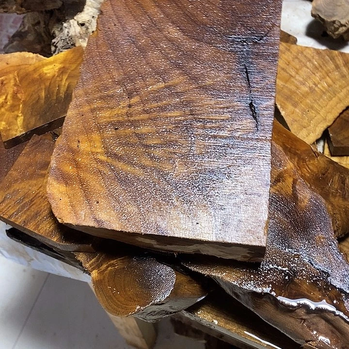 国***哥金丝楠木小叶桢楠木