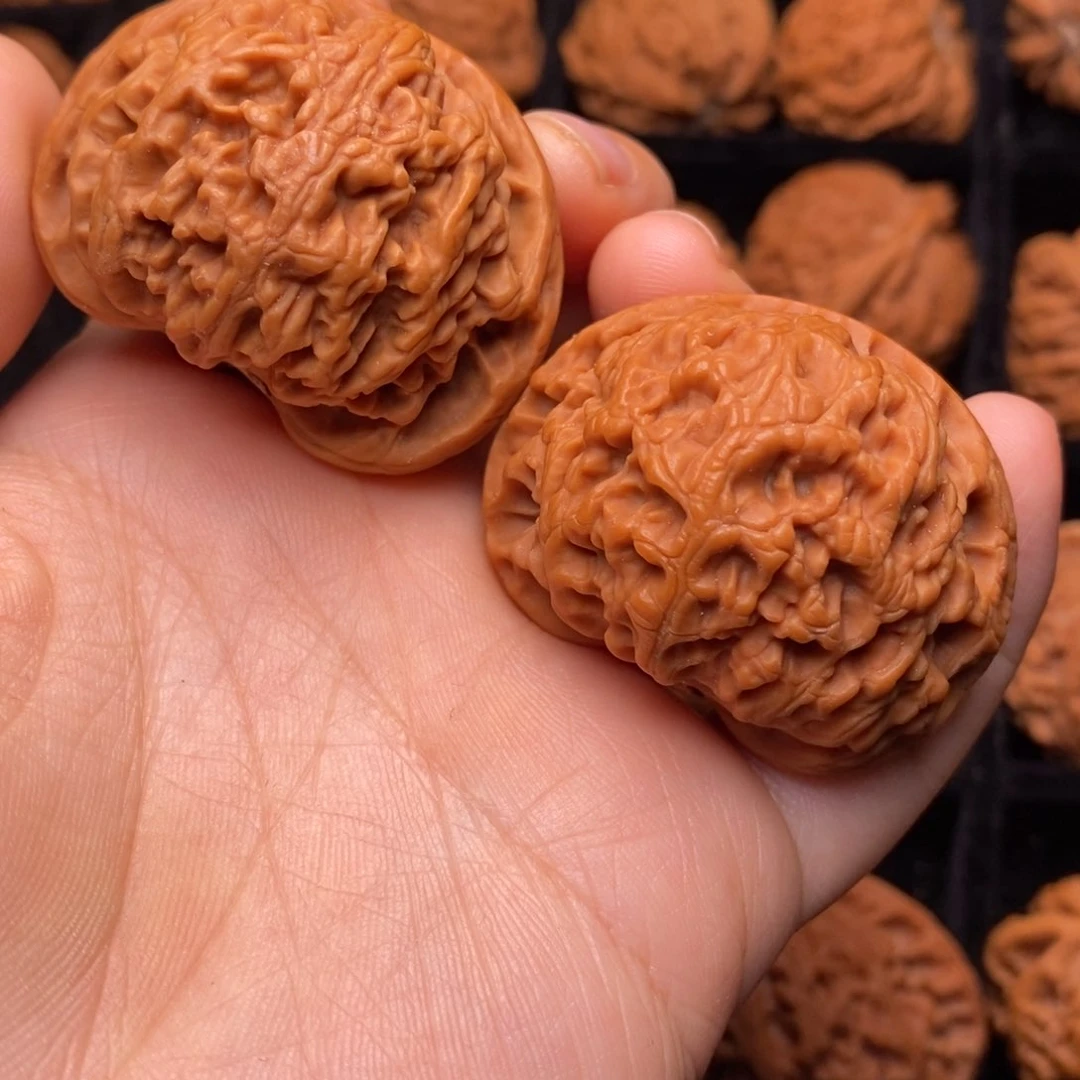 文玩核桃把件秦岭野生核桃