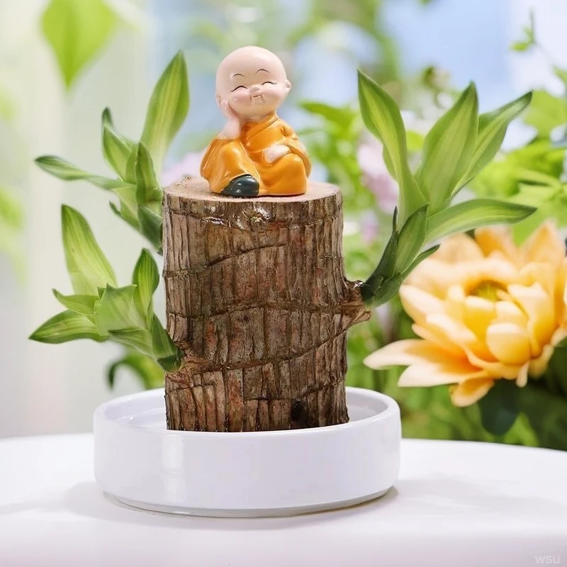 绿植盆栽巴西木幸运木懒人开花格鲁特好养活办公室卧室阳桌台室内