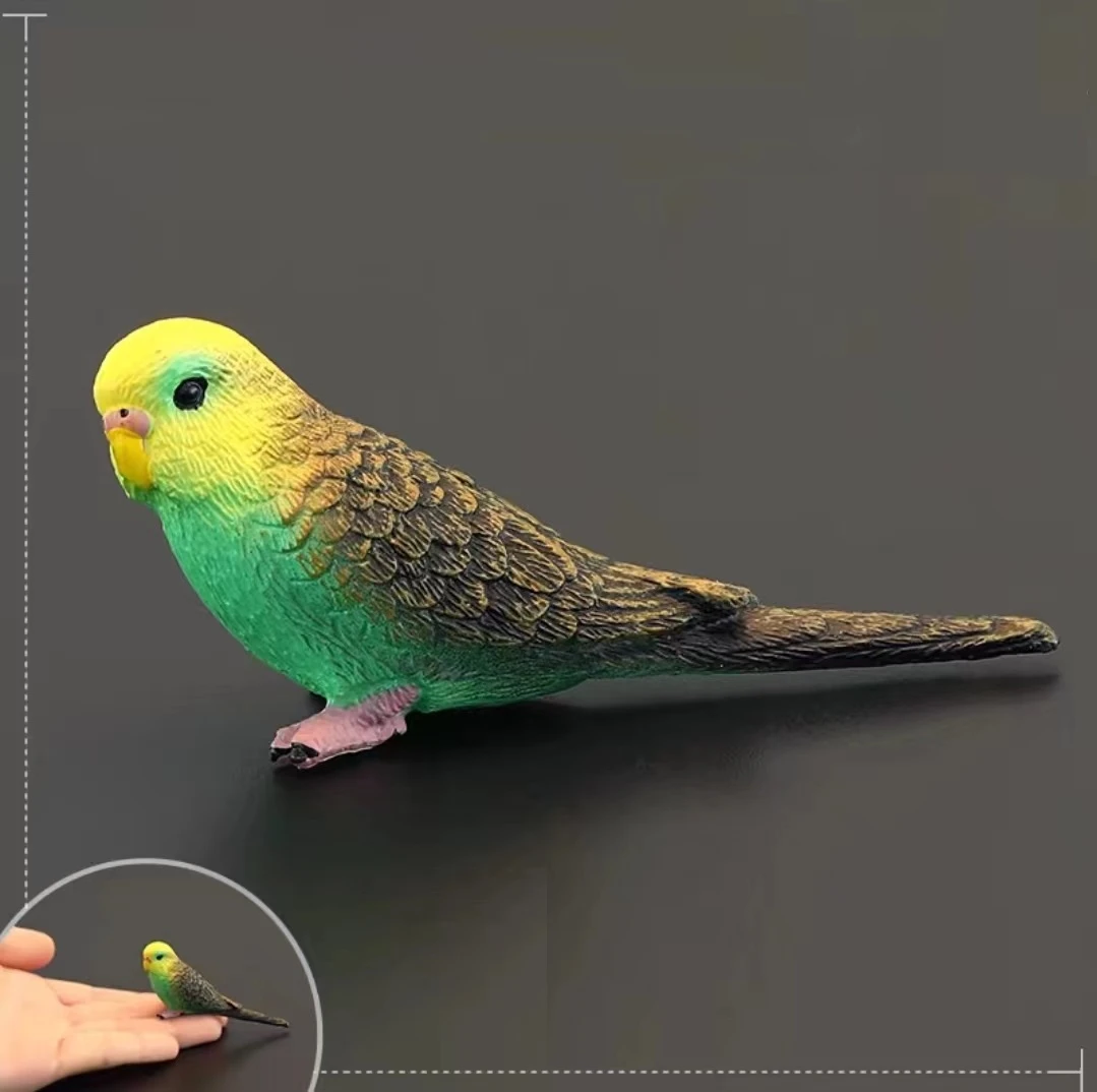 1只特色大头 金彩 虎皮 鸟玩具