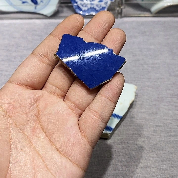 金铜精品瓷片标本