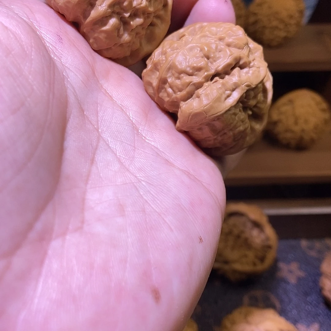 文玩核桃把件别****哥7蛤蟆头