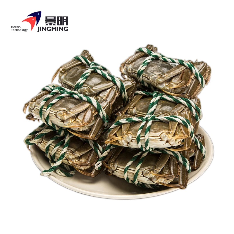 【活蟹】景明品牌黄河口大闸蟹母蟹2.5两10只河蟹