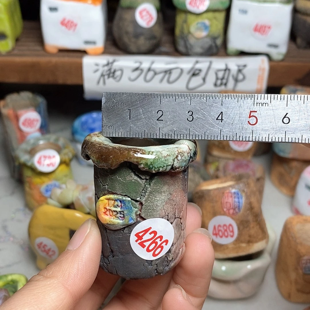 红陶拍5送一个小