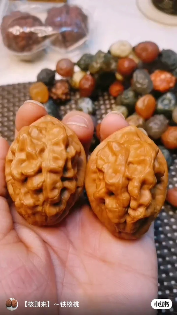 云铁堂臻选文玩核桃—毒瘤蝎子王