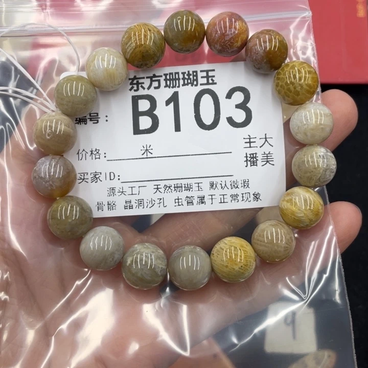 硅化珊瑚（珊瑚玉）颈饰合金