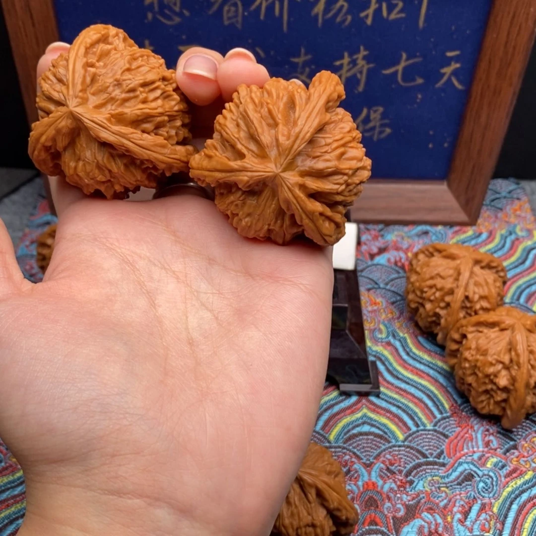 【闪购商品】張*宇白狮