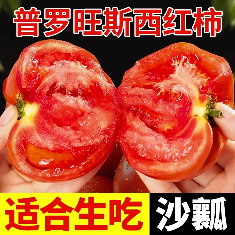 【顺丰快递】陕西泾阳普罗旺斯西红柿新鲜自然熟沙瓤生吃水果西红柿