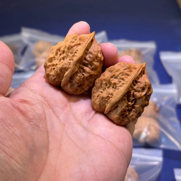 吊坠文玩核桃霸王龙脊