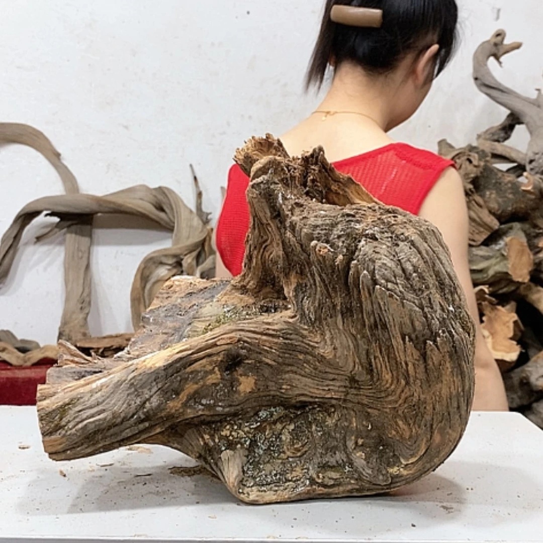 【闪购商品】柏木今*我们都是好孩子啊