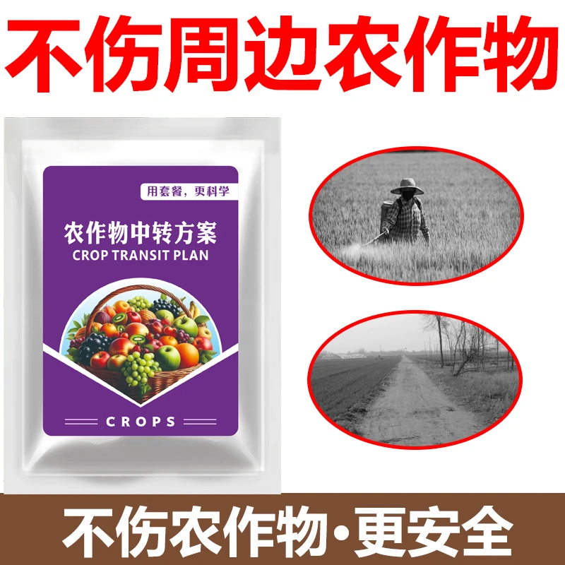 氺椛笙使用不伤周边农作物水花生升级版套装花卉方案有机质肥料