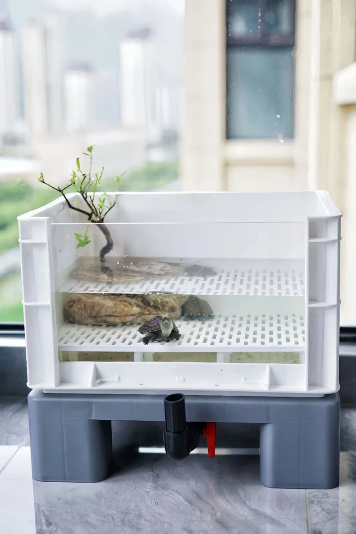 黎明玩龟4030周转箱沉淀板垫板底滤板隔板发色板宠物龟乌龟饲养盒