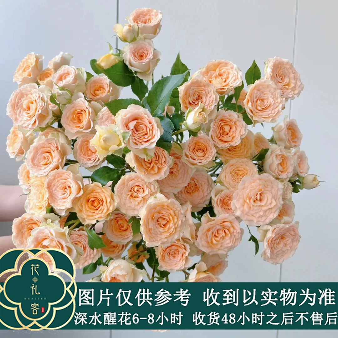 云花巷#【百香果】高端稀有小众玫瑰鲜花优选 顺丰直发