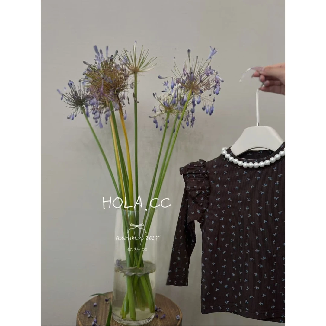 HOLA.CC·25秋~飞袖印花打底衫6309（汉服）