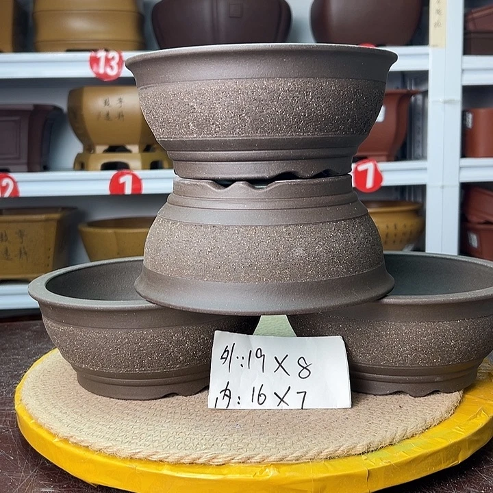 花盆紫砂蛇年大吉