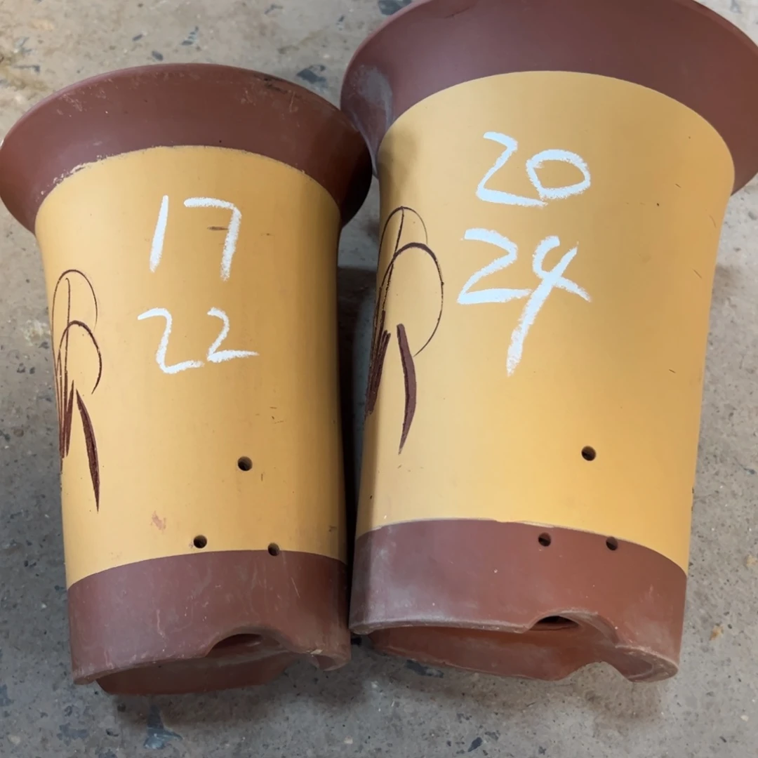 紫砂工艺厂……紫砂工艺厂