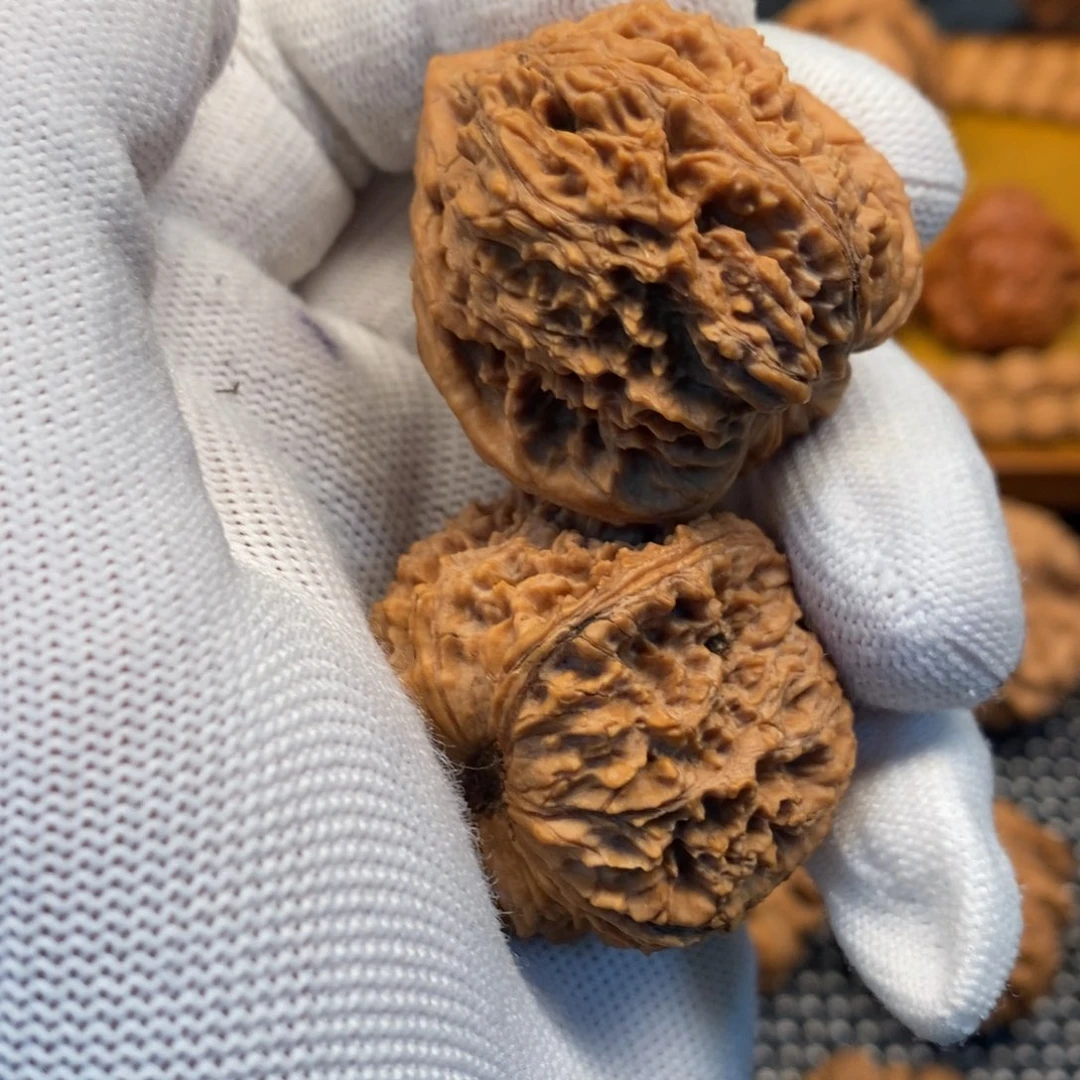 ****苒秦岭森林中发现过