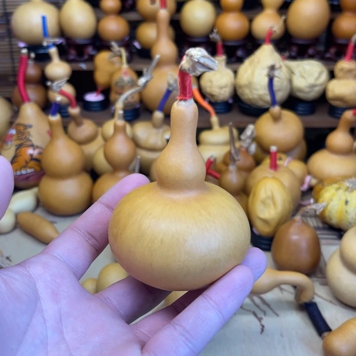 天坛厚皮响籽微瑕29